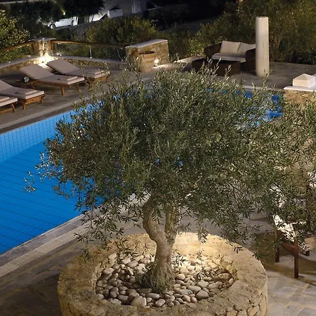 Villa Galaxy Ftelia Beach Exterior photo
